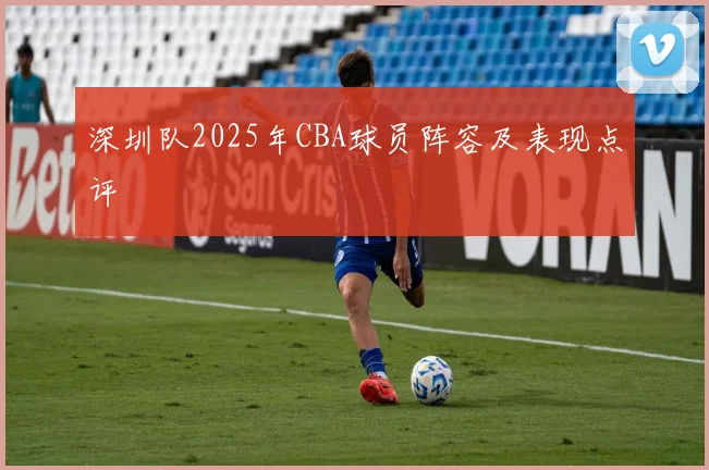 深圳队2025年CBA球员阵容及表现点评