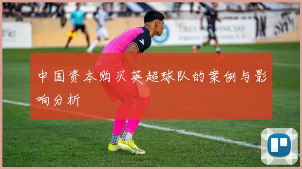 中国资本购买英超球队的案例与影响分析