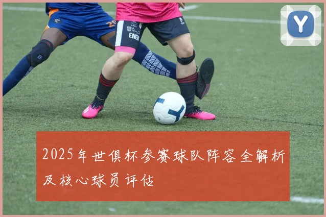 2025年世俱杯参赛球队阵容全解析及核心球员评估