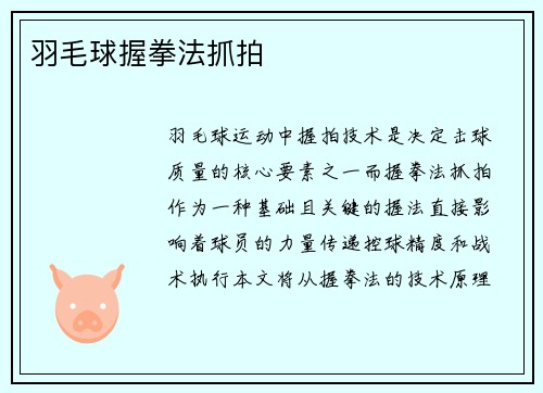 羽毛球握拳法抓拍